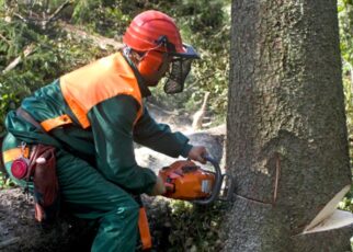 Emergency Tree Removal